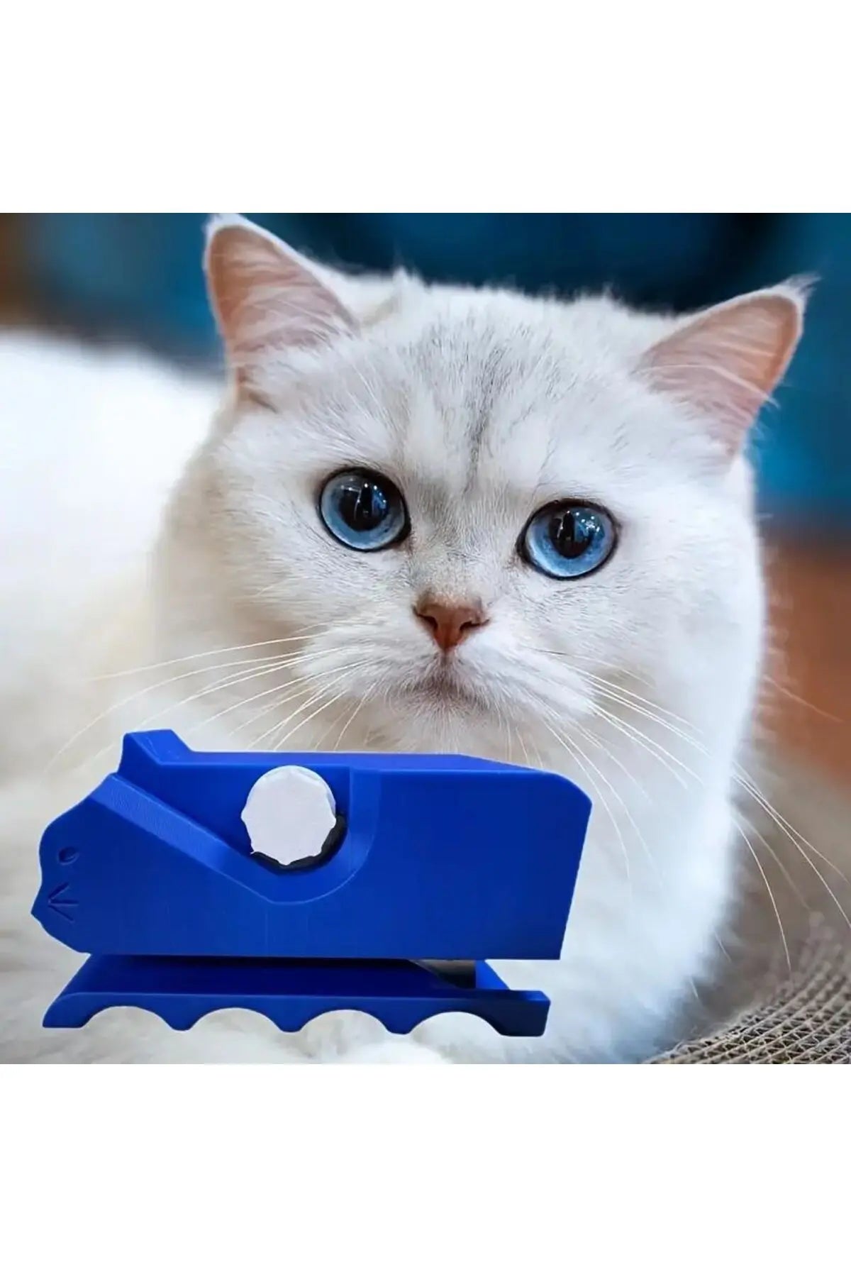 Miorapet Kes & Tırmala Karton Kesici (Karton Tırmalama Yapmak İçin Kullanılır)