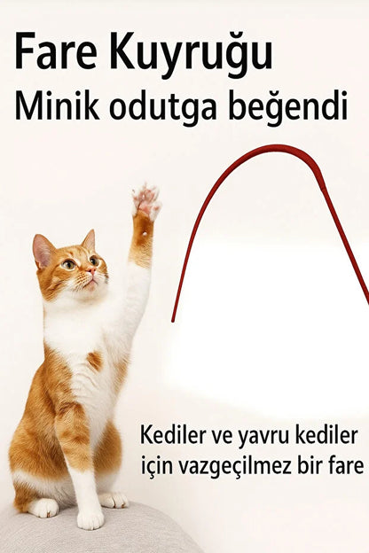Miorapet Delirten Çubuk Pati Çeker Silikon Kedi Oltası