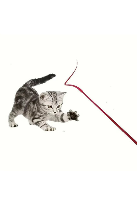 Miorapet Delirten Çubuk Pati Çeker Silikon Kedi Oltası