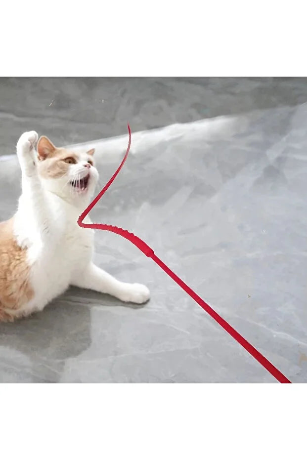 Miorapet Delirten Çubuk Pati Çeker Silikon Kedi Oltası