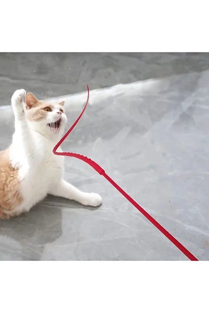 Miorapet Delirten Çubuk Pati Çeker Silikon Kedi Oltası