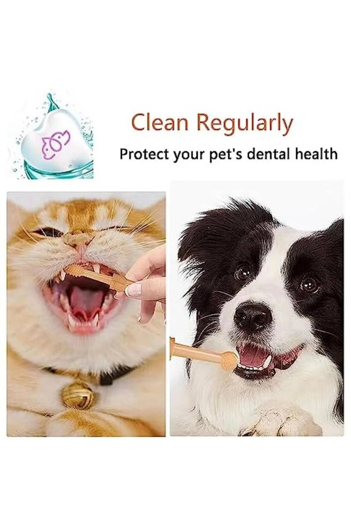 Miorapet Kedi/köpek Silikon Diş Fırçası