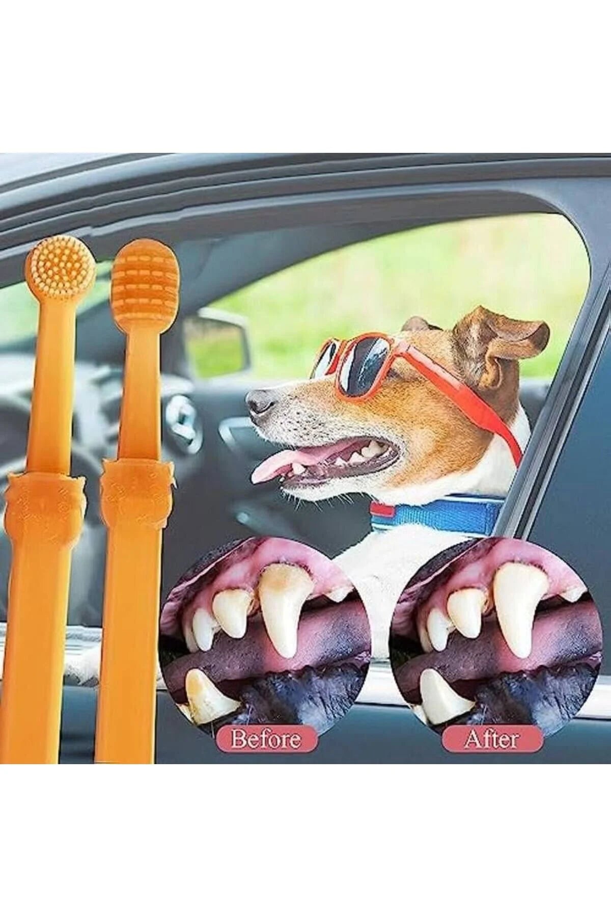 Miorapet Kedi/köpek Silikon Diş Fırçası